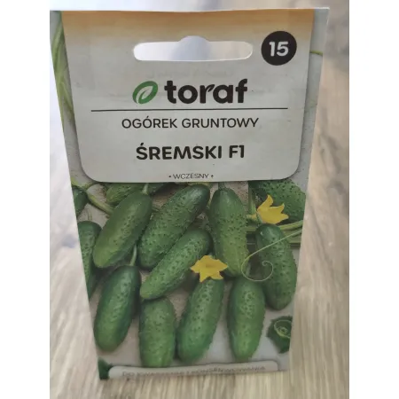 Ogórek gruntowy Śremski F1